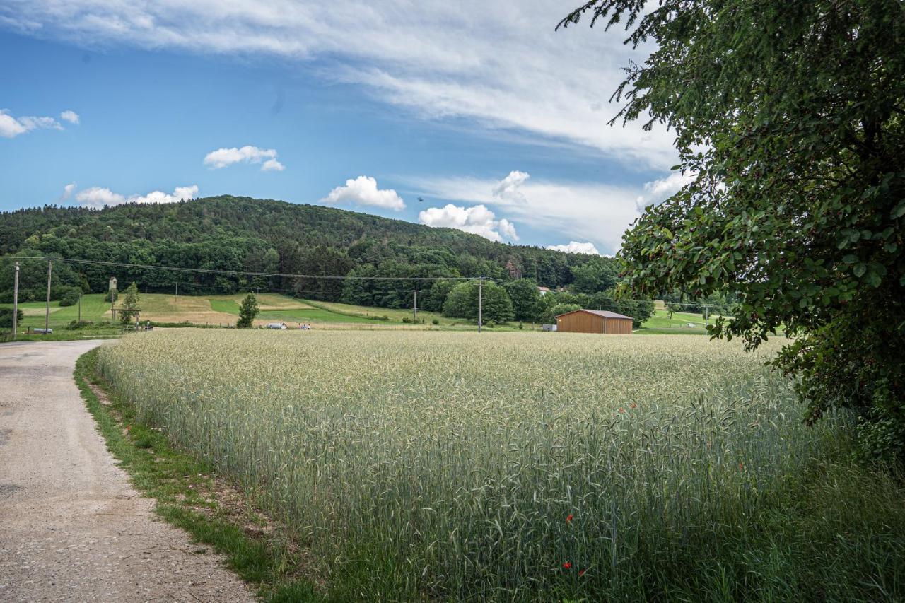 Bleibe Am Moritzberg Apartamento Haimendorf Exterior foto